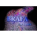 BRAFA 70 Edizione