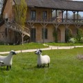 Les Lalanne à Trianon   brebis agneau mouton série des nouveaux moutons2