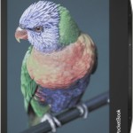 PocketBook ViVa  ereader a colori con schermo che riduce la luce blu