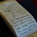 Taccuino di Darwin ricercato dai librai antiquari tra il 2020 e il 2022
